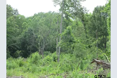 2288 Hwy 175, Jacksonville, TX 75766 - Photo 13