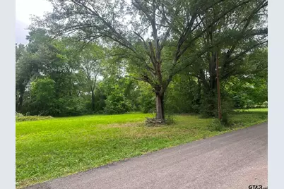 0 Ricky Dr, Palestine, TX 75802 - Photo 5