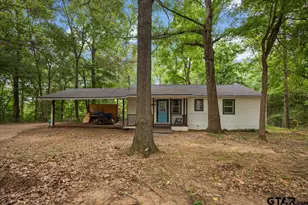 18544 County Rd 2106, Arp, TX 75750 - Photo 3