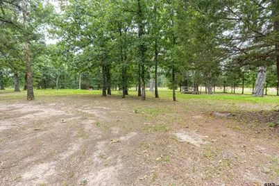 3444 Fm 2339, Ben Wheeler, TX 75754 - Photo 21