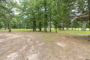 3444 Fm 2339, Ben Wheeler, TX 75754 - Photo 21