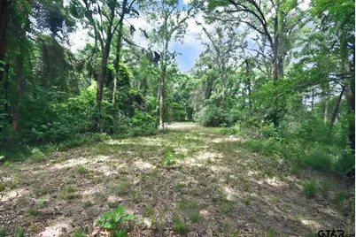 Lot 11 Private Road 5944, Yantis, TX 75497 - Photo 7