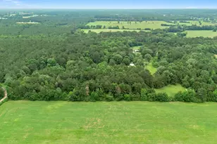 220 Private Rd 589, Carthage, TX 75633 - Photo 45