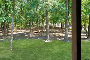 245 Larchwood Path, Holly Lake Ranch, TX 75765 - Photo 23
