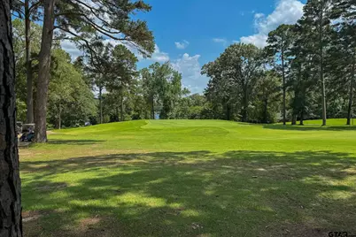 245 Larchwood Path, Holly Lake Ranch, TX 75765 - Photo 35