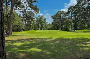 245 Larchwood Path, Holly Lake Ranch, TX 75765 - Photo 35