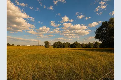 2.054 Acres Cr 3160, Quitman, TX 75783 - Photo 5