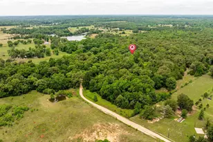 251 Private Rd 8179, Ben Wheeler, TX 75754 - Photo 47