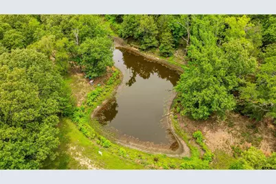 251 Private Road 8179, Ben Wheeler, TX 75754 - Photo 5