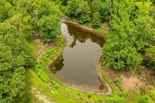 251 Private Rd 8179, Ben Wheeler, TX 75754 - Photo 5