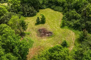 529 E Fm 323, Palestine, TX 75801 - Photo 41