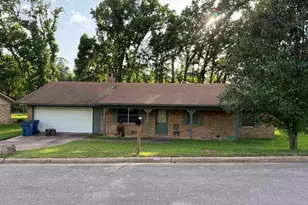 203 N Paradise Dr, Overton, TX 75684 - Photo 3
