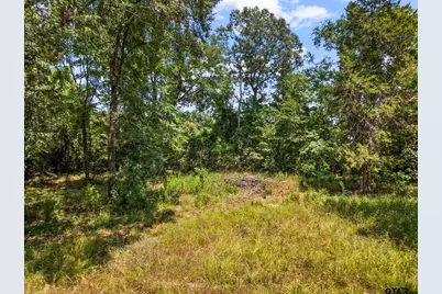 Tbd Fm 1519, Leesburg, TX 75451 - Photo 11
