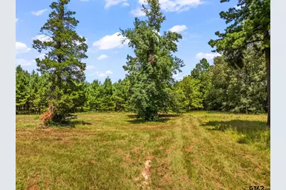 Tbd Fm 1519, Leesburg, TX 75451 - Photo 9