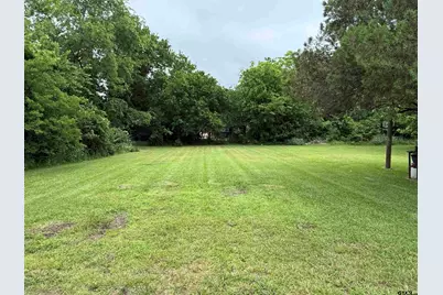 704 Lillian St, Wills Point, TX 75169 - Photo 3
