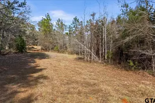 Tbd Hwy 135, Troup, TX 75789 - Photo 1