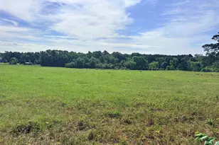 Lot 9 5 45 Acres Fm 15, Troup, TX 75789 - Photo 1