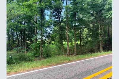 Lot 9 5.45 Acres Fm 15, Troup, TX 75789 - Photo 3