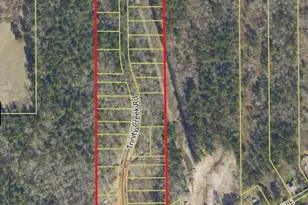1008-1166 Trinity Creek Rd & Spirit Way, Bullard, TX 75757 - Photo 1