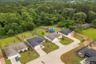 111 Lainey Ln, Mineola, TX 75773 - Photo 41