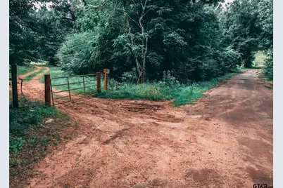 14546 County Road 247, Arp, TX 75750 - Photo 33