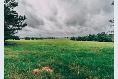 14546 County Road 247, Arp, TX 75750 - Photo 17