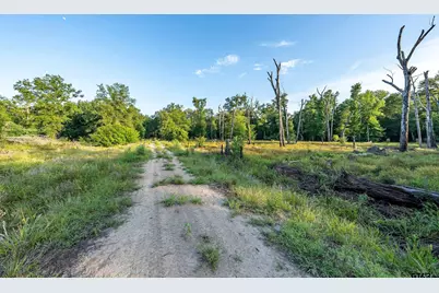 16661 Pr 2360, Oakwood, TX 75855 - Photo 5