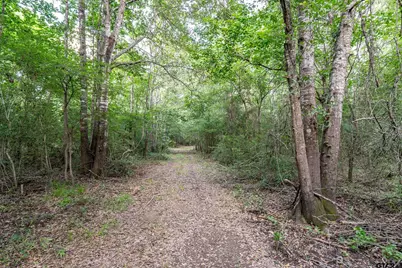 16661 Pr 2360, Oakwood, TX 75855 - Photo 45