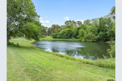 1203 N Spring St., Grand Saline, TX 75140 - Photo 15