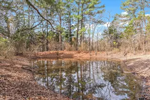 8844 St Hwy 19, Athens, TX 75752 - Photo 29