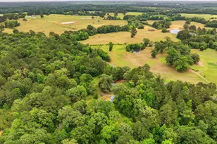 24087 FM 15, Troup, TX 75789 - Photo 45