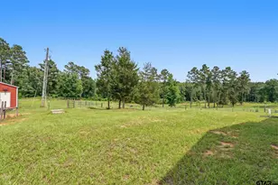21028 St Hwy 110, Troup, TX 75789 - Photo 23