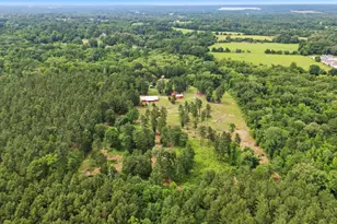 21028 St Hwy 110, Troup, TX 75789 - Photo 41