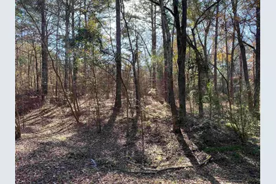 Lot 11 Carene, Frankston, TX 75763 - Photo 3