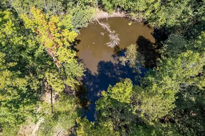 13900 County Road 2139, Troup, TX 75789 - Photo 43