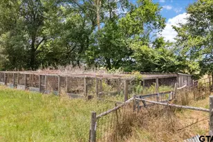 1423 An County Road 469, Palestine, TX 75803 - Photo 15