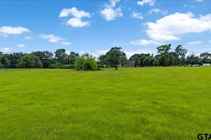 1423 An County Road 469, Palestine, TX 75803 - Photo 37