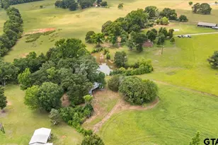 1423 An County Road 469, Palestine, TX 75803 - Photo 5