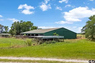 1423 An County Road 469, Palestine, TX 75803 - Photo 11