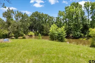 1423 An County Road 469, Palestine, TX 75803 - Photo 7