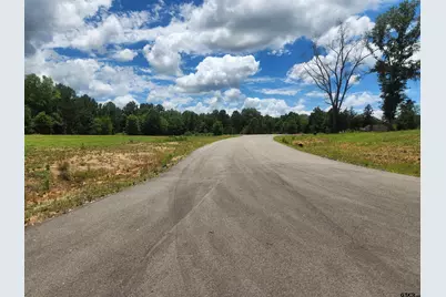 20021 Dews Ct, Troup, TX 75789 - Photo 1