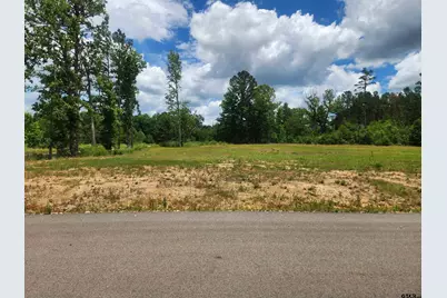 20021 Dews Ct, Troup, TX 75789 - Photo 3