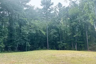 Tbd Brandon St, Troup, TX 75789 - Photo 1