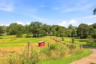 430 Fm 3384, Pittsburg, TX 75686 - Photo 27