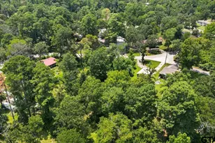 Tbd Lot 1 Brierwood Dr, Frankston, TX 75763 - Photo 1