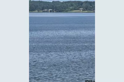 Tbd Lot 1 Brierwood Drive, Frankston, TX 75763 - Photo 7