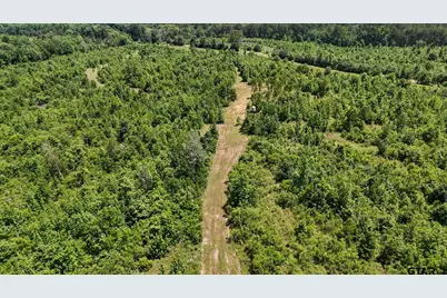 000 Avinger Cutoff Road, Avinger, TX 75630 - Photo 19