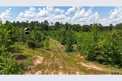 000 Avinger Cutoff Road, Avinger, TX 75630 - Photo 23
