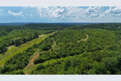 000 Avinger Cutoff Road, Avinger, TX 75630 - Photo 33