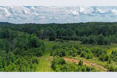 000 Avinger Cutoff Road, Avinger, TX 75630 - Photo 27
